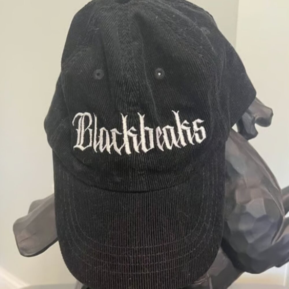 NWOT Throne of Glass Corduroy Hat